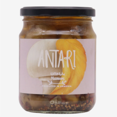 00-00064759 Canned "Antari" mushrooms 530g