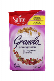 00-00029831 Փաթիլներ «Sante Granola» նուռ, հապալաս 350գ 1350.jpg