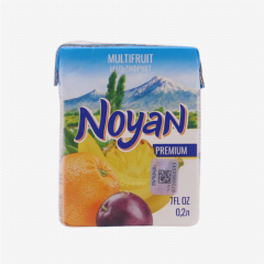 00-00037065 Natural juice "Noyan" multi 200ml