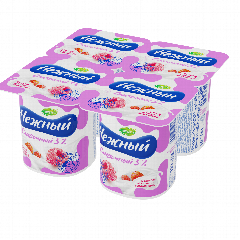 00-00029201   Յոգուրտ «Campina Нежный» 5,0% ազնվամորի ,մորի 100գ